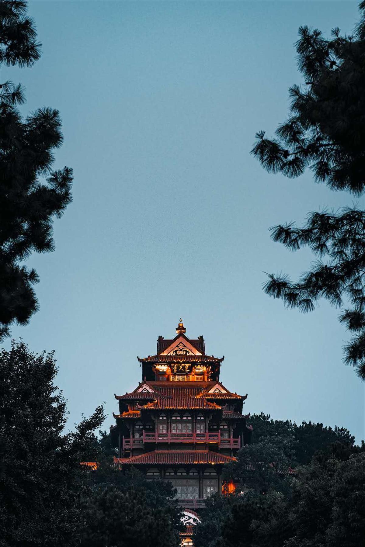 信誉赌博走势图
